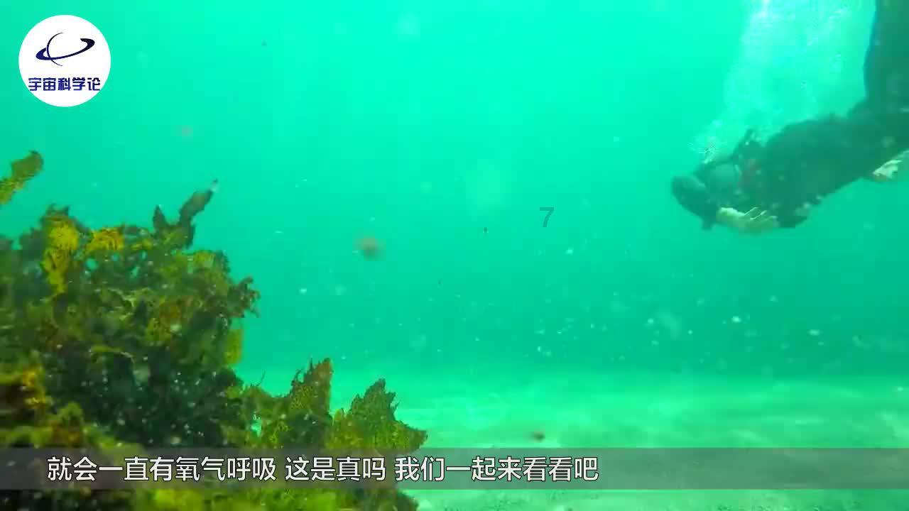 火影忍者二柱子的名字有讲究，跟三代火影的父亲有关系！游戏画面